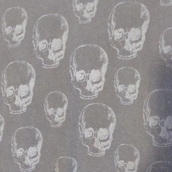 Tennessee River men's black skull Tshirt. Size medium. - Picture 2 of 6